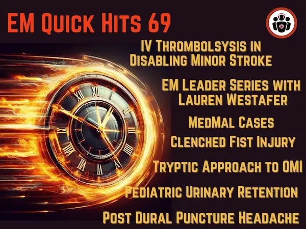 EM-Quick-Hit 69