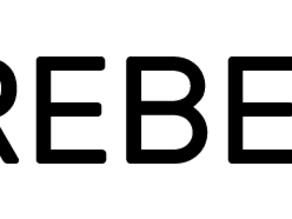 rebelEM-lightbg